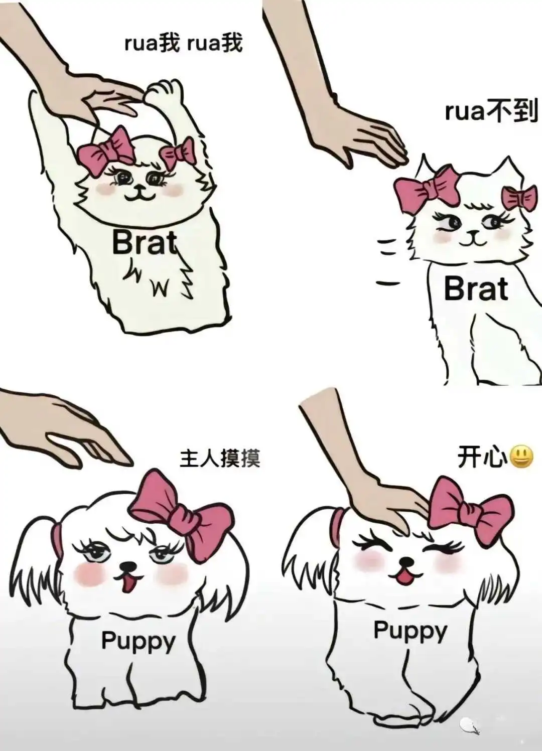 西檬之家-字母圈的Tickle是什么？BDSM新人入圈指南