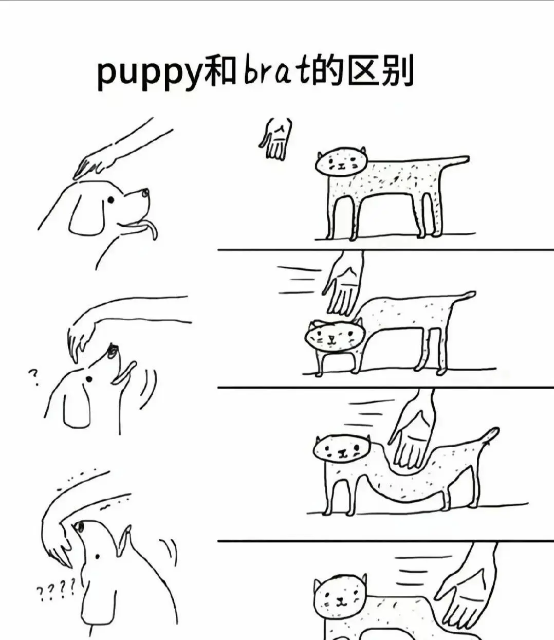 西檬之家-字母圈术语科普：如何理解圣水与SSC安全原则？