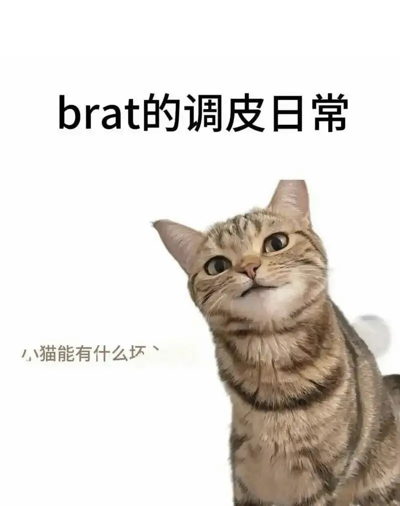 【西檬之家】字母圈新人入圈必读：理解BDSM核心术语与SSC原则