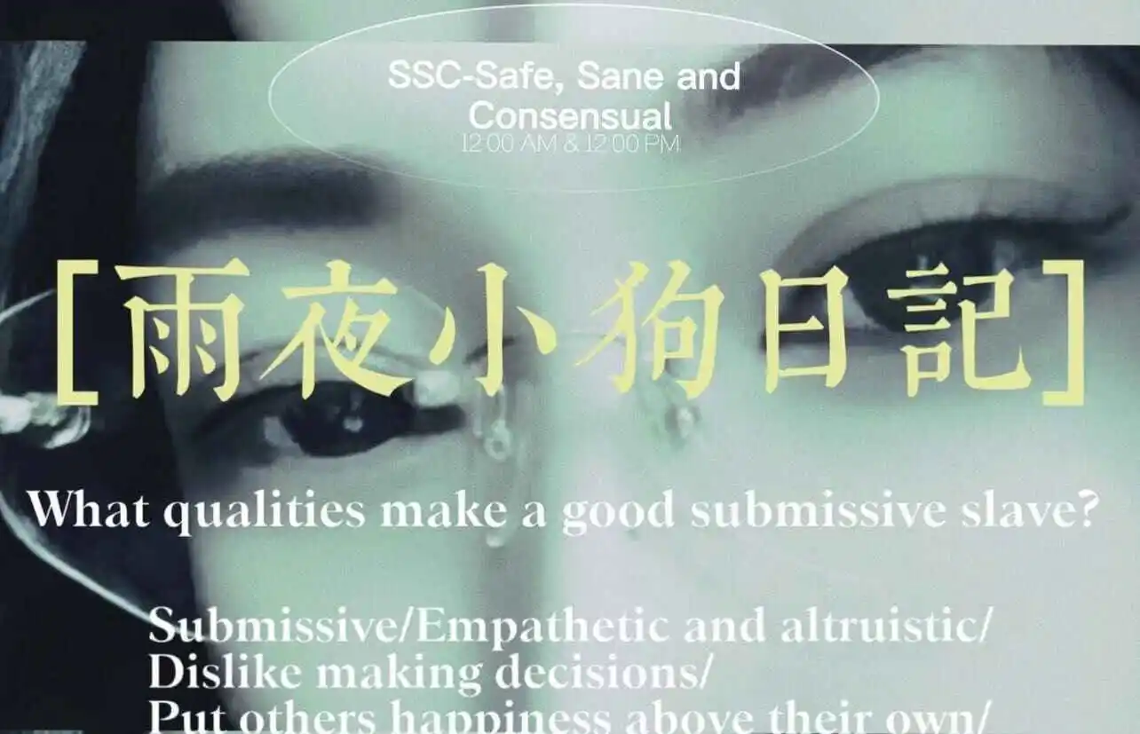 S倾向 - 微信图片_20240708154450