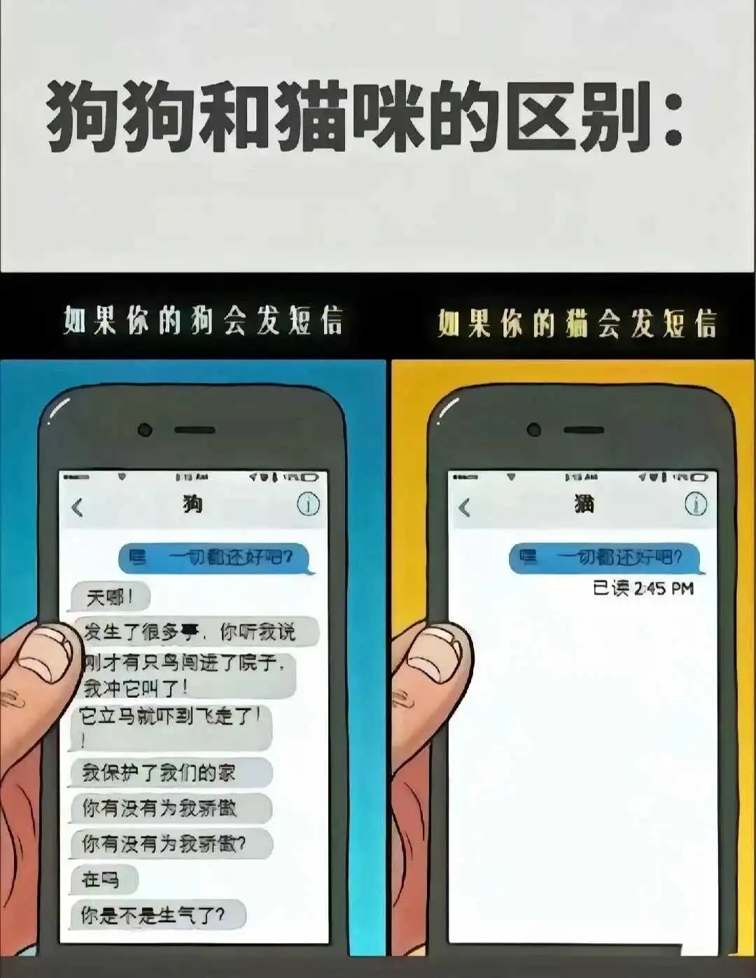 【西檬之家】新人入圈指南：字母圈核心术语解读及SSC原则