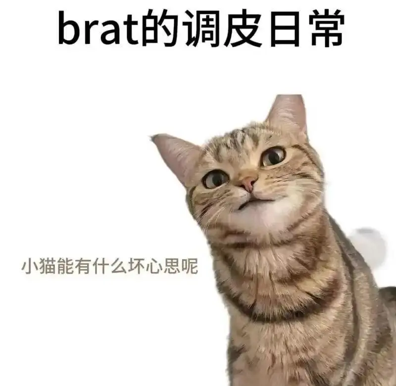 【西檬之家】DS关系解析：BDSM圈子的核心基石