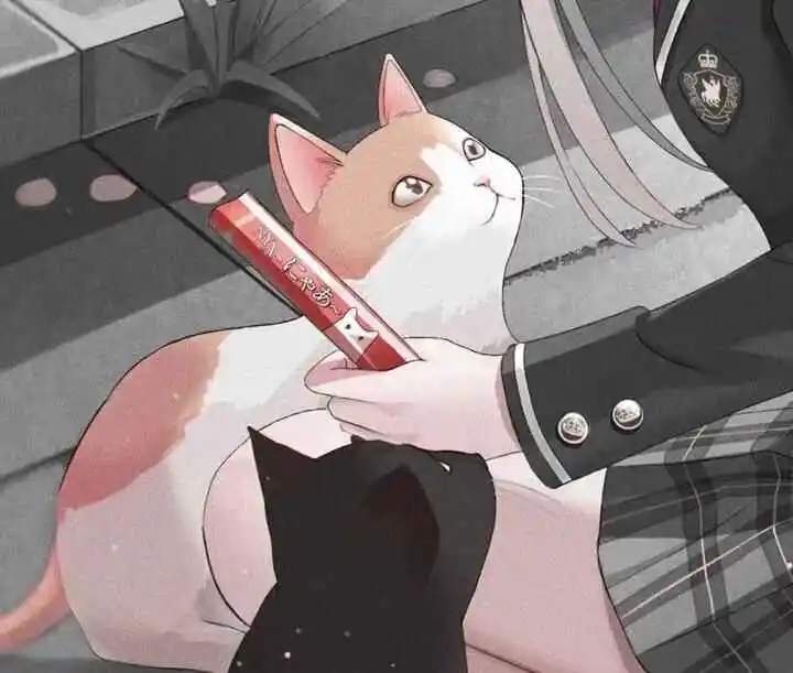 TK - 2023_11_09_15_16_IMG_8927