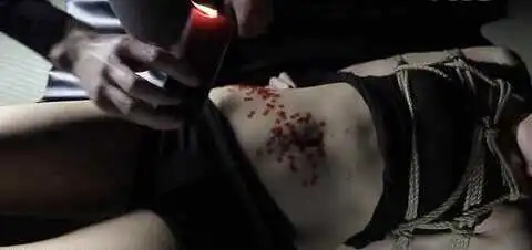 【西檬之家】字母圈新人如何入圈？BDSM入门全解析